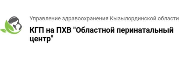Областной перинатальный центр на Бейбарса, Кызылорда - фото