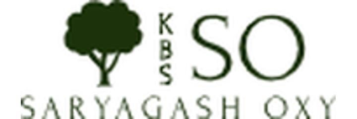Санаторий «Saryagash Oxy» (Сарыагаш Окси), Сарыагаш Санаторий «Saryagash Oxy» (Сарыагаш Окси), Сарыагаш - фото