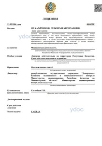 Лицензия Лицензия