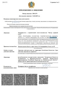 Приложение к лицензии