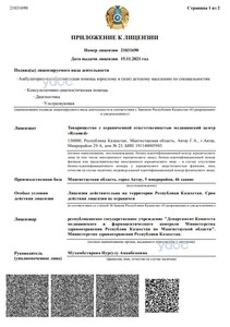 Приложение к лицензии