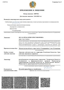 Приложение к лицензии