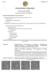 Приложение к лицензии