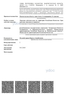 Приложение к лицензии