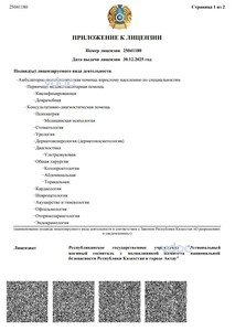 Приложение к лицензии