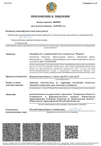 Приложение к лицензии