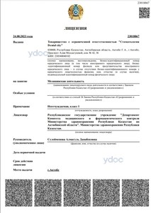 Лицензия Лицензия