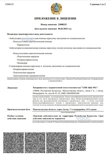 Лицензия Лицензия