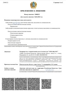 Лицензия Лицензия