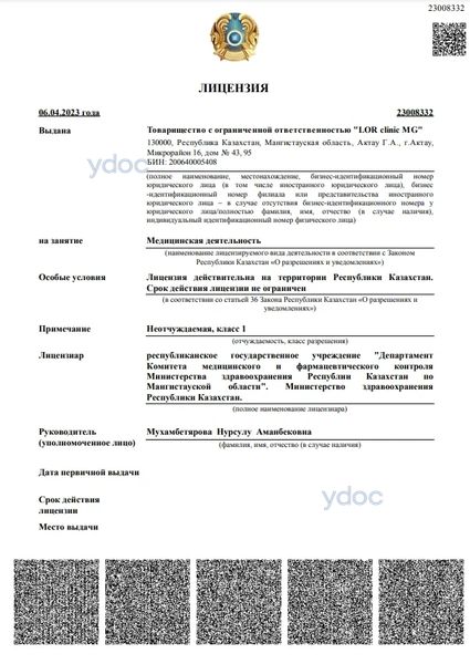 Лицензия Лицензия