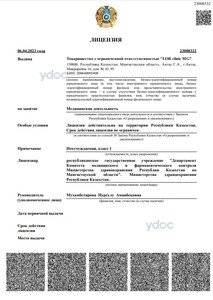 Лицензия Лицензия