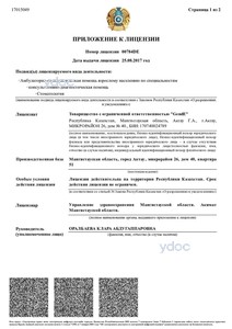 Лицензия Лицензия