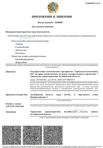 Приложение к лицензии