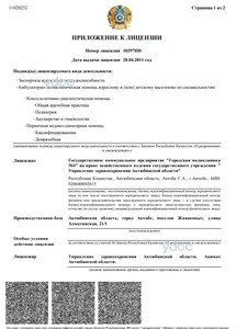 Приложение к лицензии