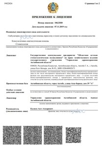 Приложение к лицензии