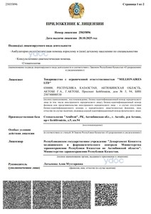 Приложение к лицензии