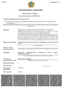 Приложение к лицензии