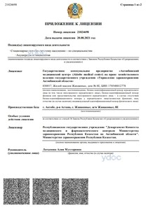 Лицензия Лицензия