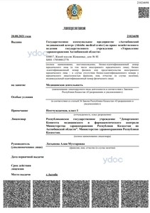 Лицензия Лицензия