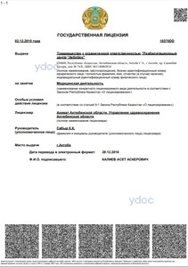 Лицензия Лицензия