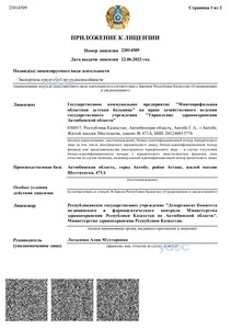 Лицензия Лицензия