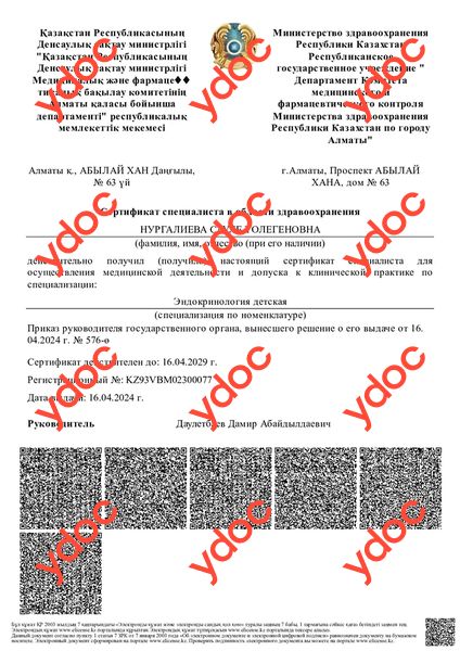 Құжаттар мен фотосуреттер - Иңсібаева Н. Қ.