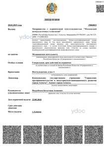 Лицензия Лицензия