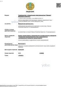 Лицензия Лицензия