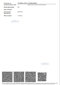 Приложение к лицензии