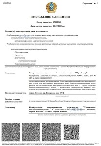 Приложение к лицензии