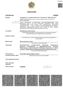 Лицензия Лицензия