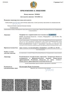 Приложение к лицензии