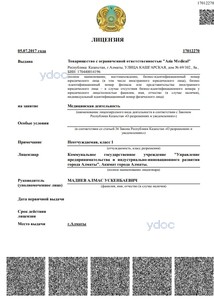 Лицензия Лицензия