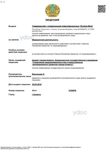 Лицензия Лицензия