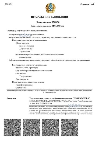 Лицензия Лицензия