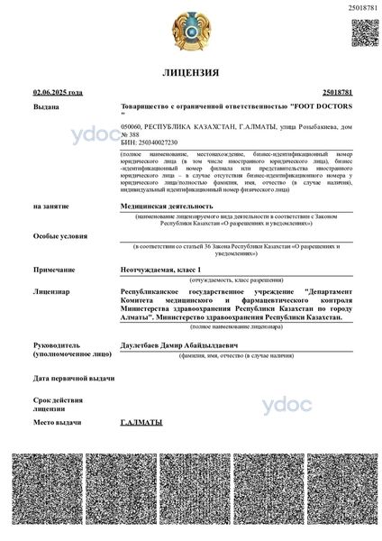 Лицензия Лицензия