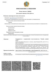 Приложение к лицензии