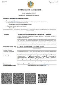 Приложение к лицензии Приложение к лицензии