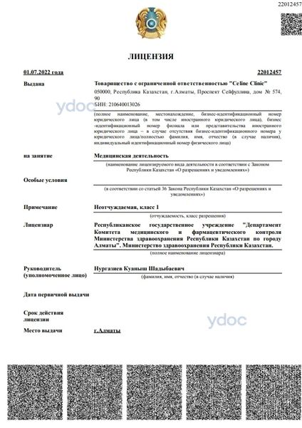 Лицензия Лицензия