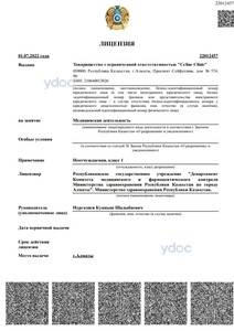 Лицензия Лицензия