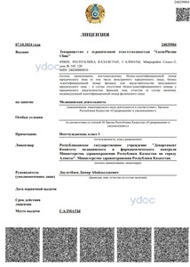 Лицензия Лицензия