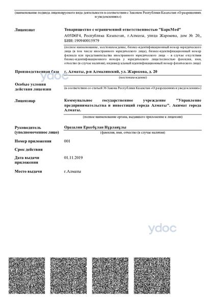 Лицензия Лицензия