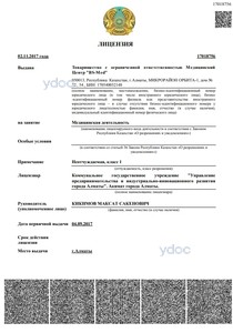 Лицензия Лицензия