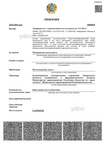 Лицензия Лицензия