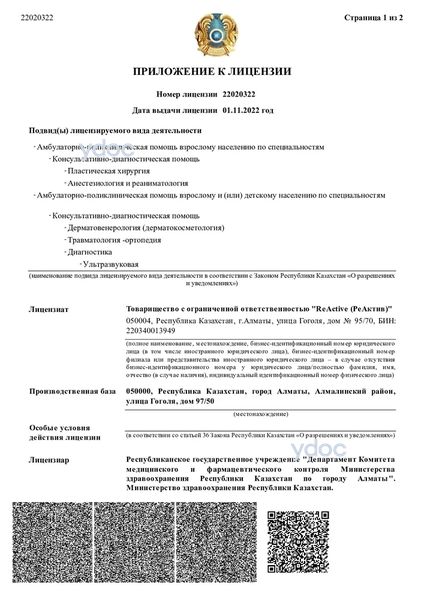 Лицензия Лицензия