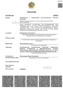 Лицензия Лицензия