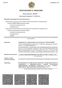 Лицензияға қосымша