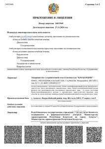 Лицензияға қосымша