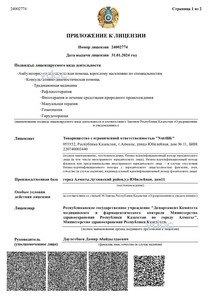 Приложение к лицензии