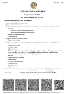 Приложение к лицензии